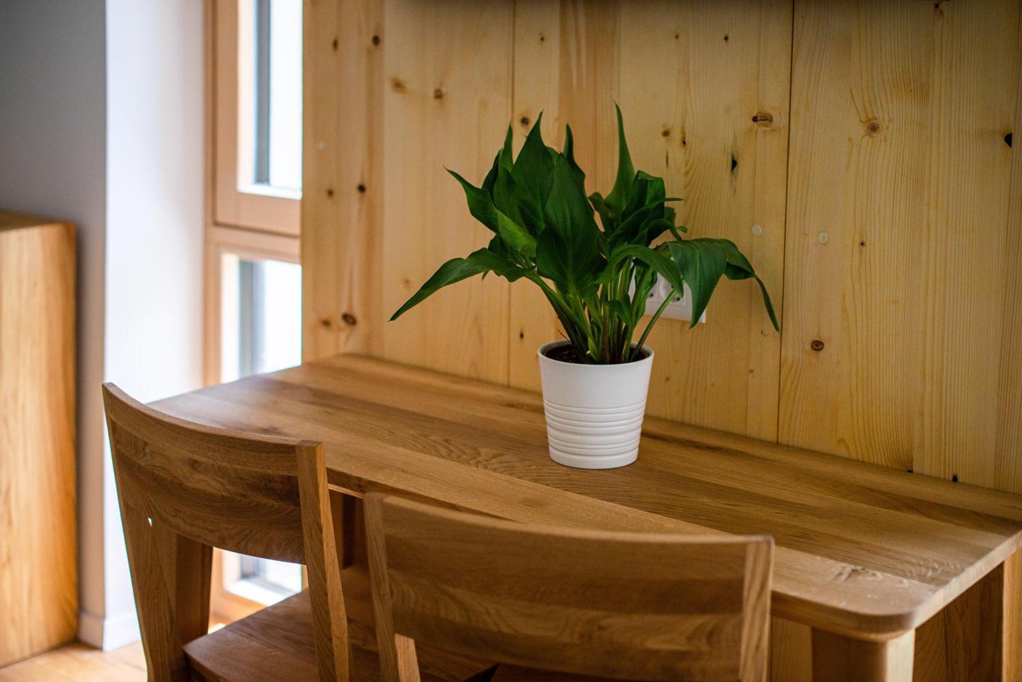 Lucka Bled Quiet Location, Free Bikes, Big Garden, Doctor Appartement Buitenkant foto